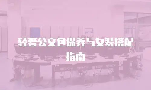轻奢公文包保养与女装搭配指南
