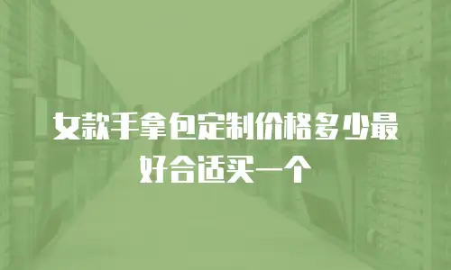 女款手拿包定制价格多少最好合适买一个