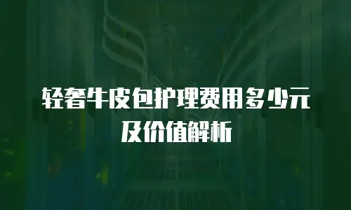 轻奢牛皮包护理费用多少元及价值解析