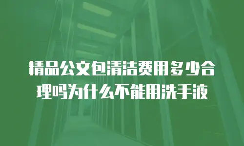 精品公文包清洁费用多少合理吗为什么不能用洗手液
