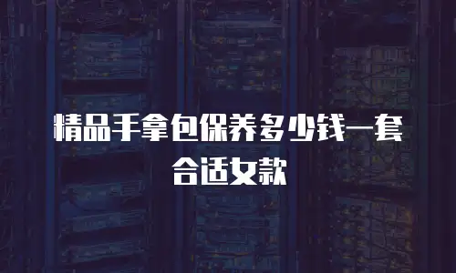 精品手拿包保养多少钱一套合适女款