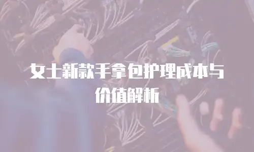 女士新款手拿包护理成本与价值解析