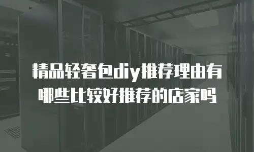 精品轻奢包diy推荐理由有哪些比较好推荐的店家吗