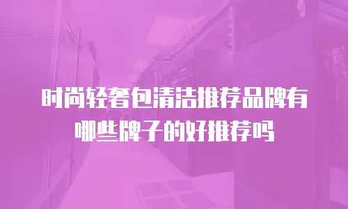 时尚轻奢包清洁推荐品牌有哪些牌子的好推荐吗