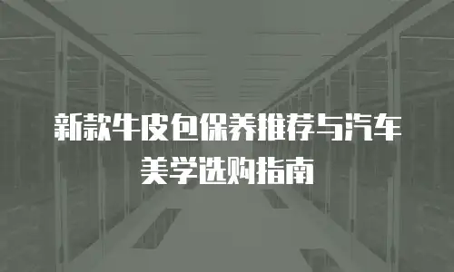 新款牛皮包保养推荐与汽车美学选购指南