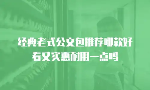 经典老式公文包推荐哪款好看又实惠耐用一点吗