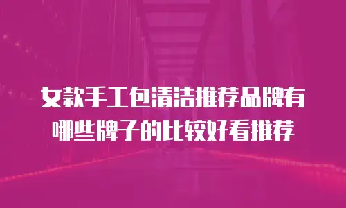 女款手工包清洁推荐品牌有哪些牌子的比较好看推荐