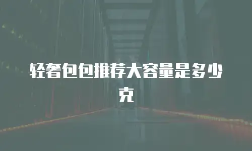轻奢包包推荐大容量是多少克