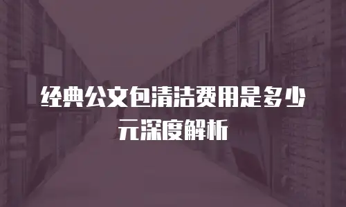 经典公文包清洁费用是多少元深度解析