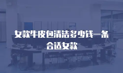 女款牛皮包清洁多少钱一条合适女款