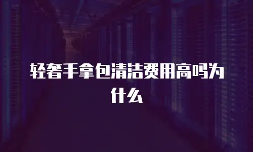 轻奢手拿包清洁费用高吗为什么