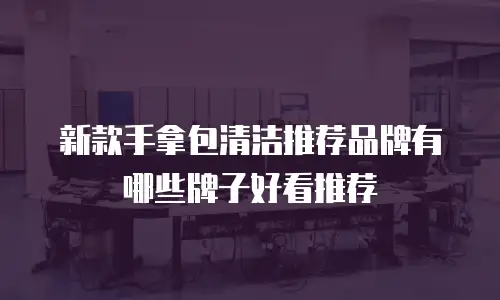 新款手拿包清洁推荐品牌有哪些牌子好看推荐