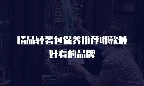 精品轻奢包保养推荐哪款最好看的品牌
