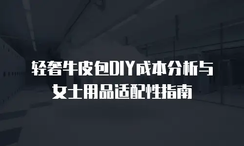 轻奢牛皮包DIY成本分析与女士用品适配性指南