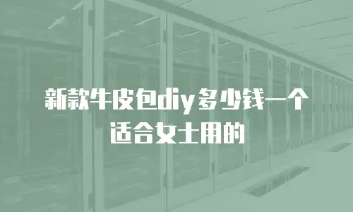 新款牛皮包diy多少钱一个适合女士用的
