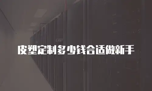 皮塑定制多少钱合适做新手