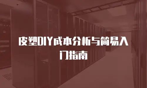 皮塑DIY成本分析与简易入门指南