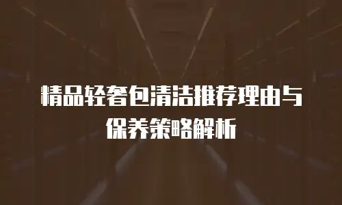 精品轻奢包清洁推荐理由与保养策略解析