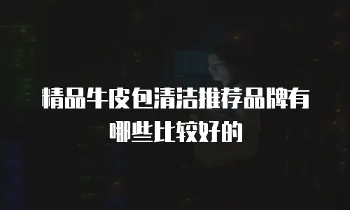 精品牛皮包清洁推荐品牌有哪些比较好的