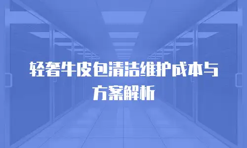 轻奢牛皮包清洁维护成本与方案解析