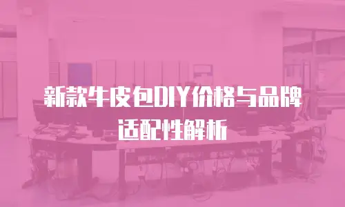 新款牛皮包DIY价格与品牌适配性解析