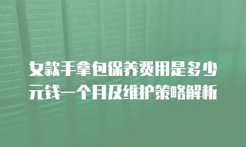 女款手拿包保养费用是多少元钱一个月及维护策略解析