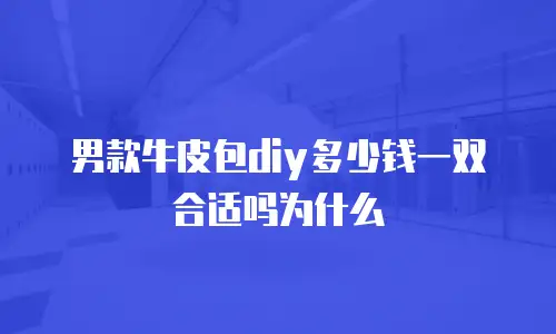 男款牛皮包diy多少钱一双合适吗为什么