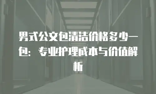 男式公文包清洁价格多少一包：专业护理成本与价值解析
