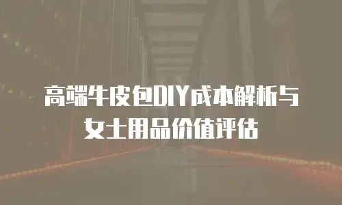 高端牛皮包DIY成本解析与女士用品价值评估