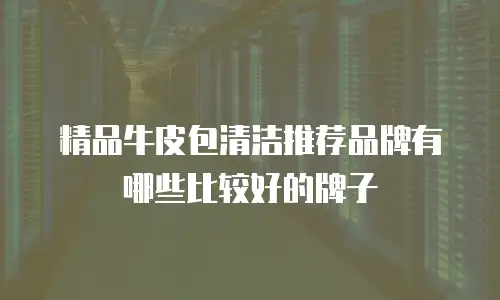 精品牛皮包清洁推荐品牌有哪些比较好的牌子