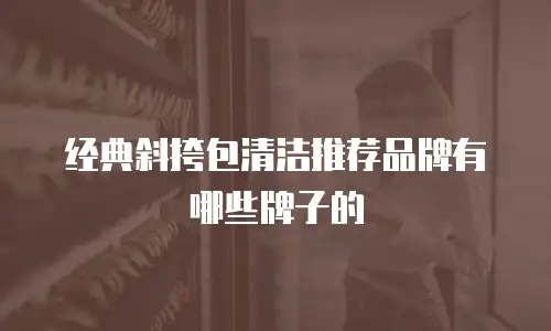 经典斜挎包清洁推荐品牌有哪些牌子的