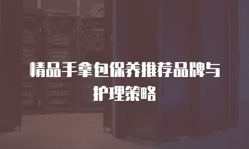 精品手拿包保养推荐品牌与护理策略