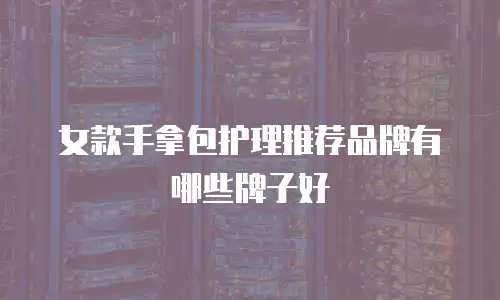 女款手拿包护理推荐品牌有哪些牌子好
