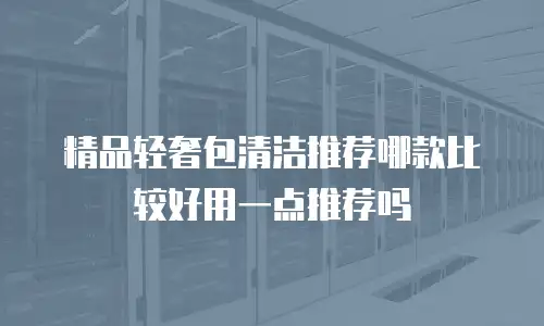 精品轻奢包清洁推荐哪款比较好用一点推荐吗