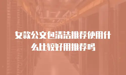 女款公文包清洁推荐使用什么比较好用推荐吗