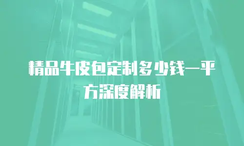 精品牛皮包定制多少钱一平方深度解析