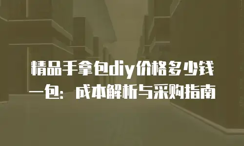 精品手拿包diy价格多少钱一包：成本解析与采购指南