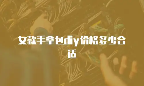 女款手拿包diy价格多少合适