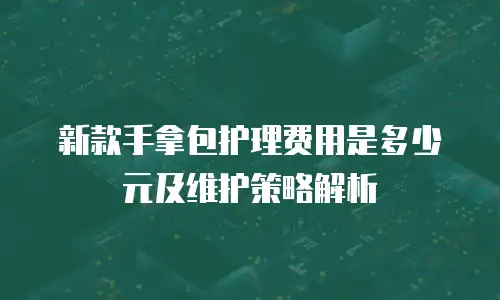 新款手拿包护理费用是多少元及维护策略解析