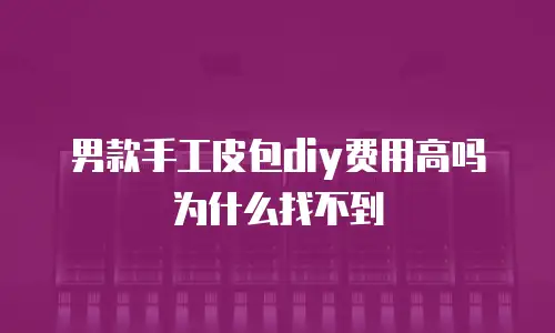 男款手工皮包diy费用高吗为什么找不到