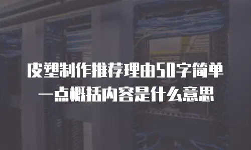 皮塑制作推荐理由50字简单一点概括内容是什么意思
