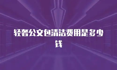 轻奢公文包清洁费用是多少钱