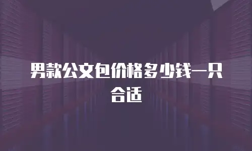 男款公文包价格多少钱一只合适
