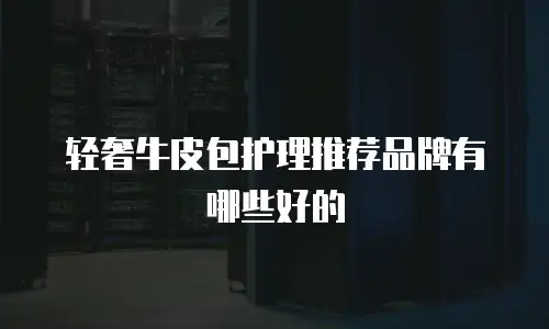 轻奢牛皮包护理推荐品牌有哪些好的