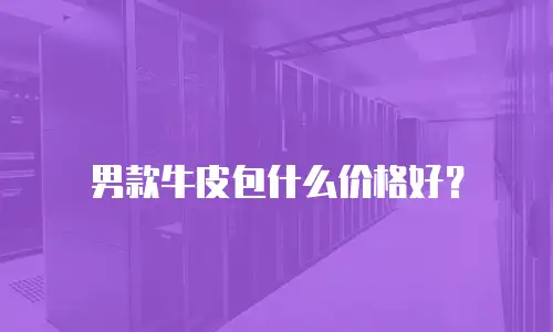 男款牛皮包什么价格好？