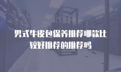 男式牛皮包保养推荐哪款比较好推荐的推荐吗