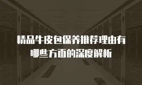 精品牛皮包保养推荐理由有哪些方面的深度解析