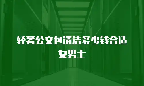 轻奢公文包清洁多少钱合适女男士