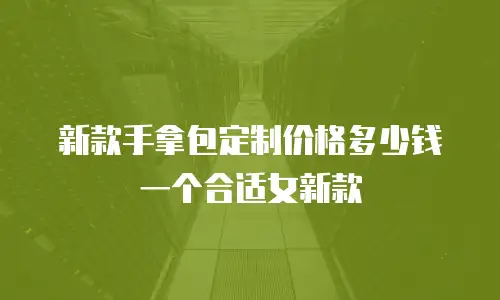新款手拿包定制价格多少钱一个合适女新款