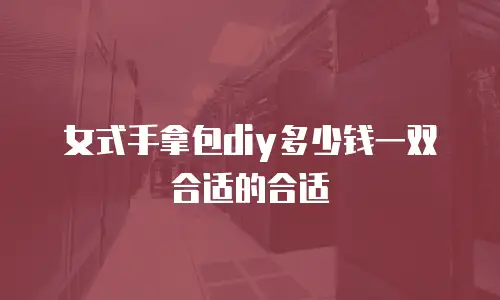 女式手拿包diy多少钱一双合适的合适